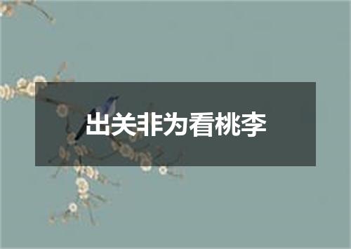 出关非为看桃李