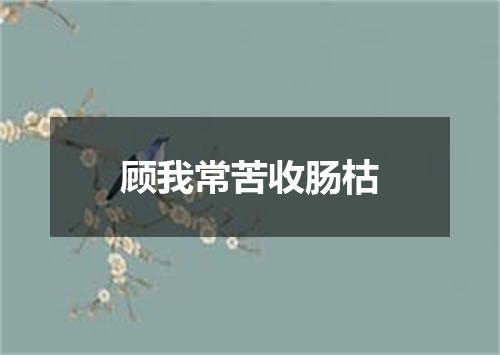 顾我常苦收肠枯