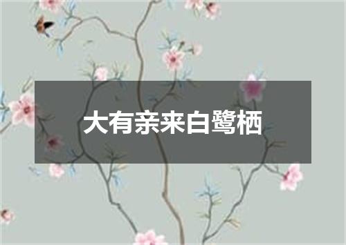 大有亲来白鹭栖