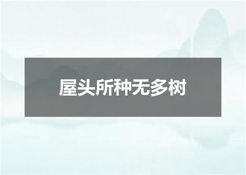 屋头所种无多树