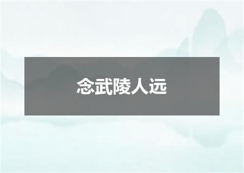 念武陵人远