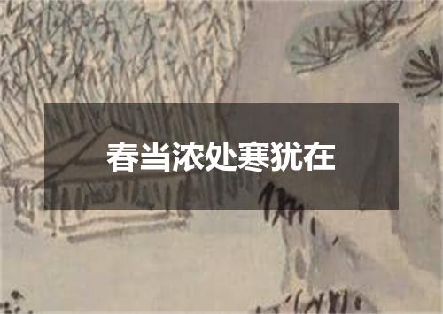 春当浓处寒犹在