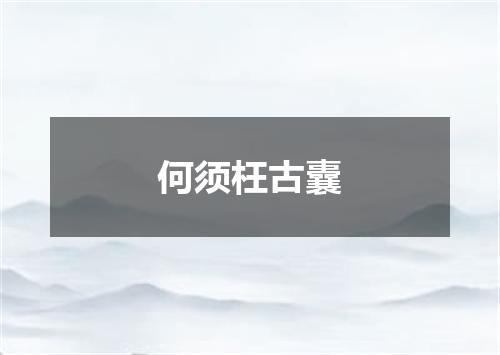 何须枉古囊