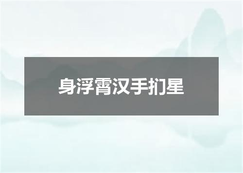 身浮霄汉手扪星