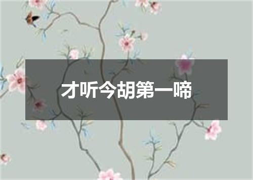 才听今胡第一啼