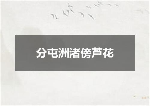 分屯洲渚傍芦花