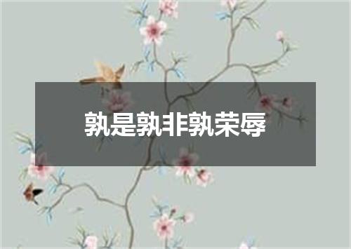 孰是孰非孰荣辱