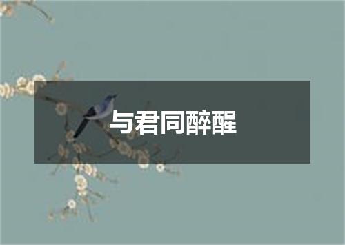 与君同醉醒