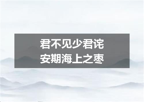 君不见少君诧安期海上之枣