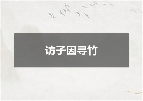 访子因寻竹