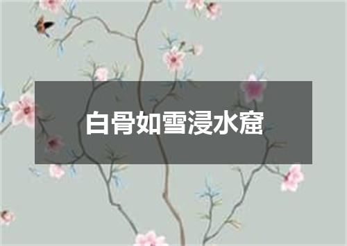 白骨如雪浸水窟