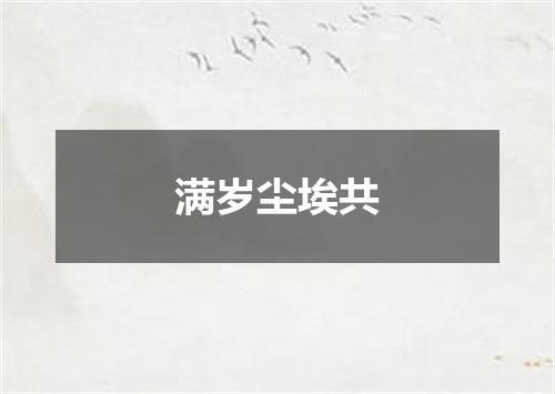 满岁尘埃共