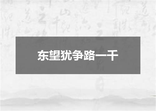 东望犹争路一千