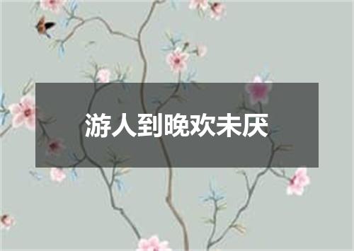 游人到晚欢未厌