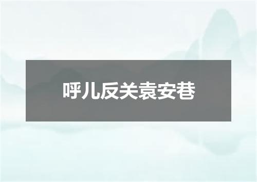 呼儿反关袁安巷