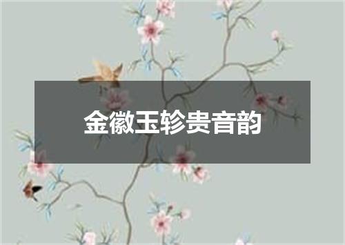 金徽玉轸贵音韵