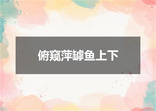 俯窥萍罅鱼上下