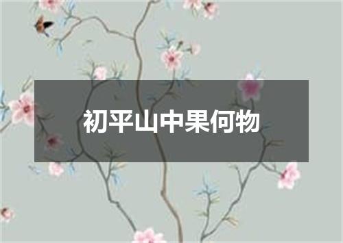 初平山中果何物
