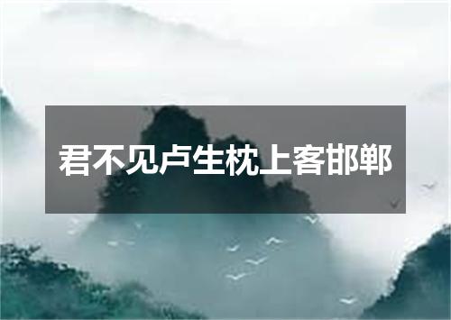 君不见卢生枕上客邯郸