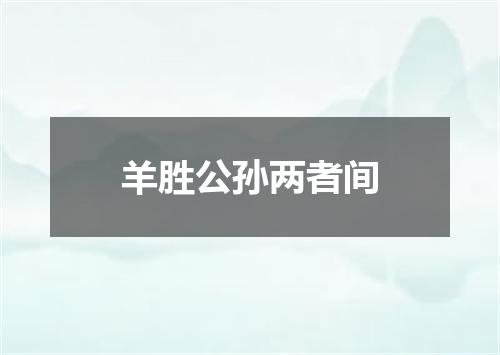 羊胜公孙两者间