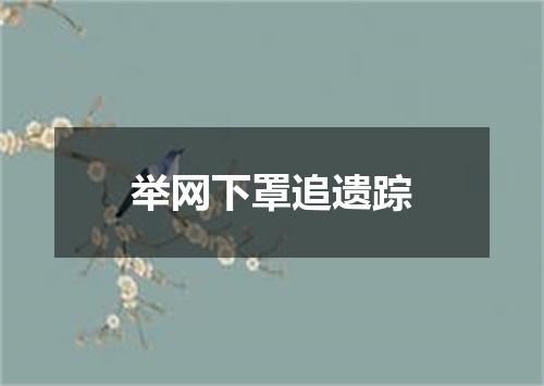 举网下罩追遗踪