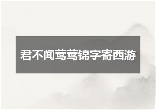 君不闻莺莺锦字寄西游