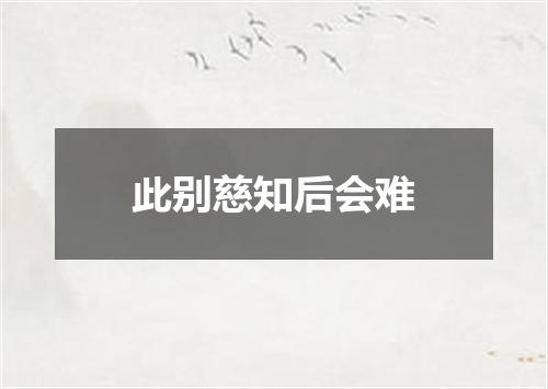 此别慈知后会难