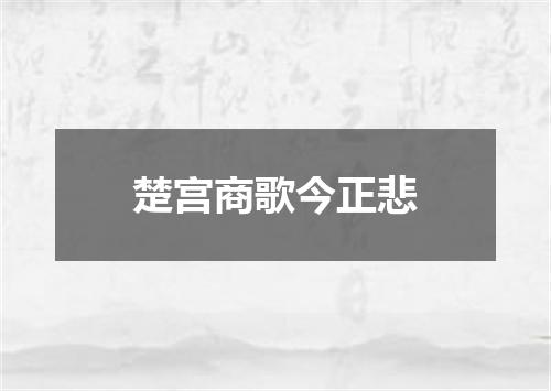 楚宫商歌今正悲