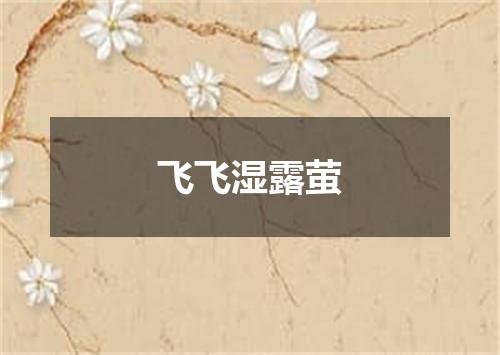 飞飞湿露萤