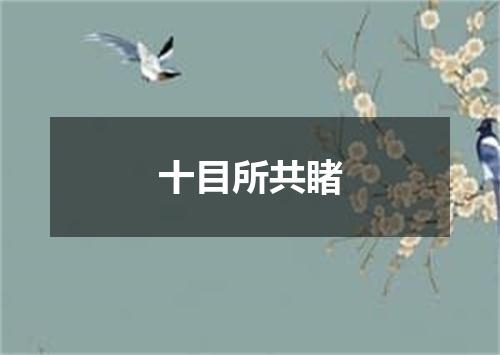 十目所共睹
