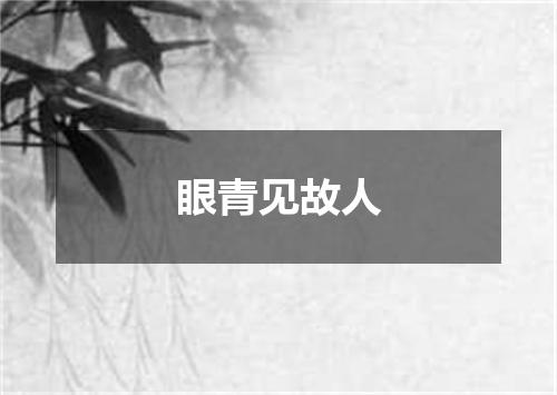 眼青见故人