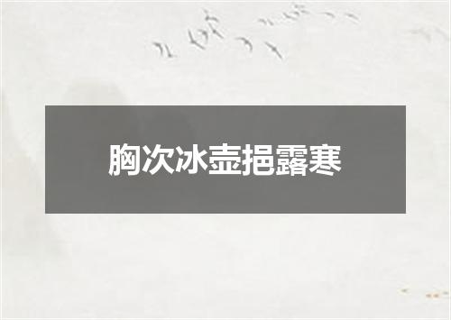 胸次冰壶挹露寒