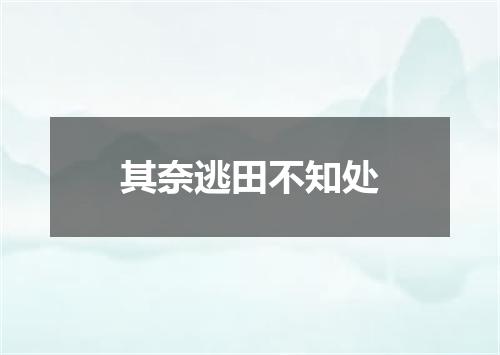 其奈逃田不知处