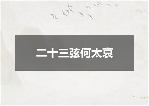 二十三弦何太哀