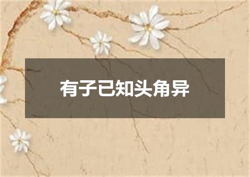 有子已知头角异