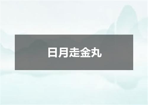 日月走金丸