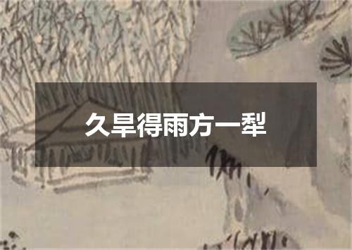 久旱得雨方一犁