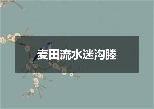 麦田流水迷沟塍