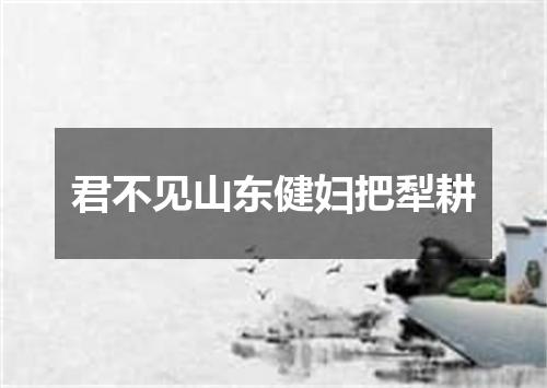 君不见山东健妇把犁耕