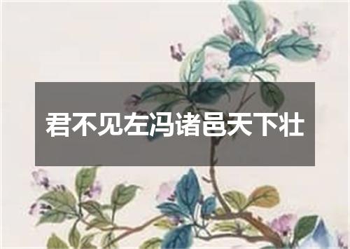 君不见左冯诸邑天下壮