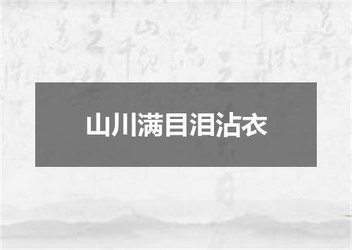 山川满目泪沾衣