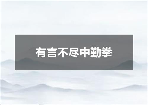有言不尽中勤拳