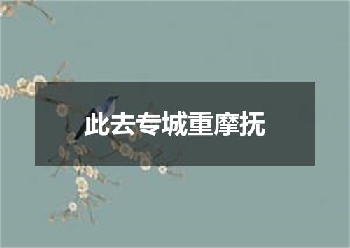 此去专城重摩抚