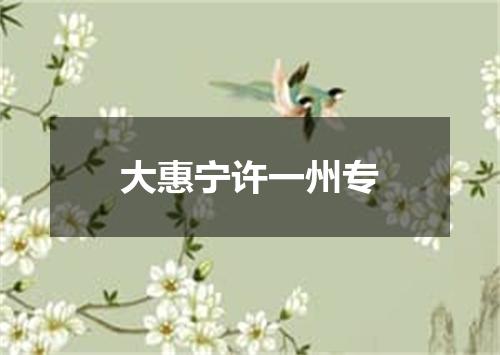 大惠宁许一州专