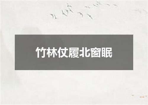 竹林仗履北窗眠