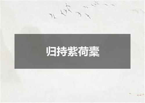归持紫荷橐