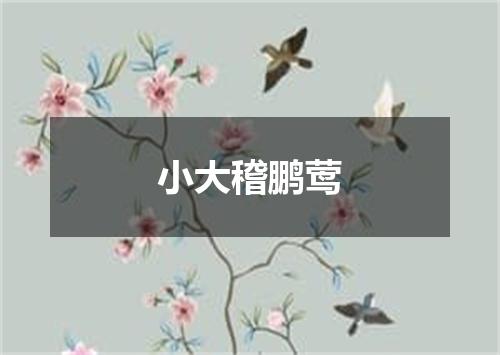 小大稽鹏莺