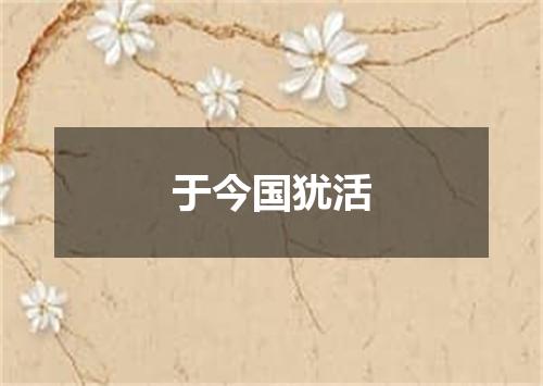 于今国犹活