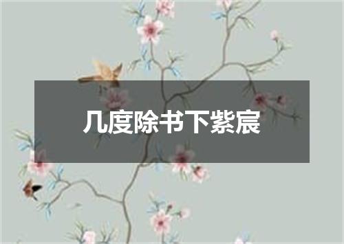 几度除书下紫宸