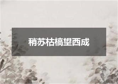 稍苏枯槁望西成